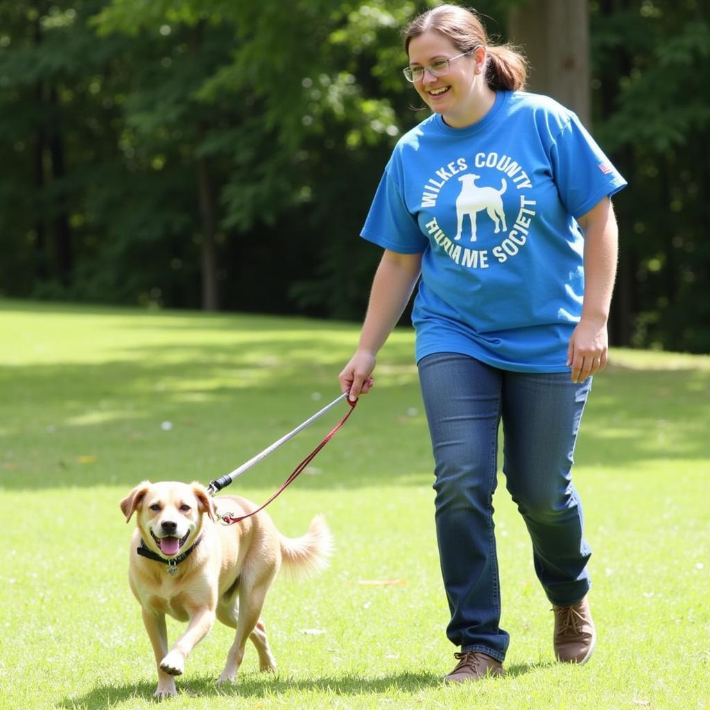 Wilkes County Humane Society Dog Walking