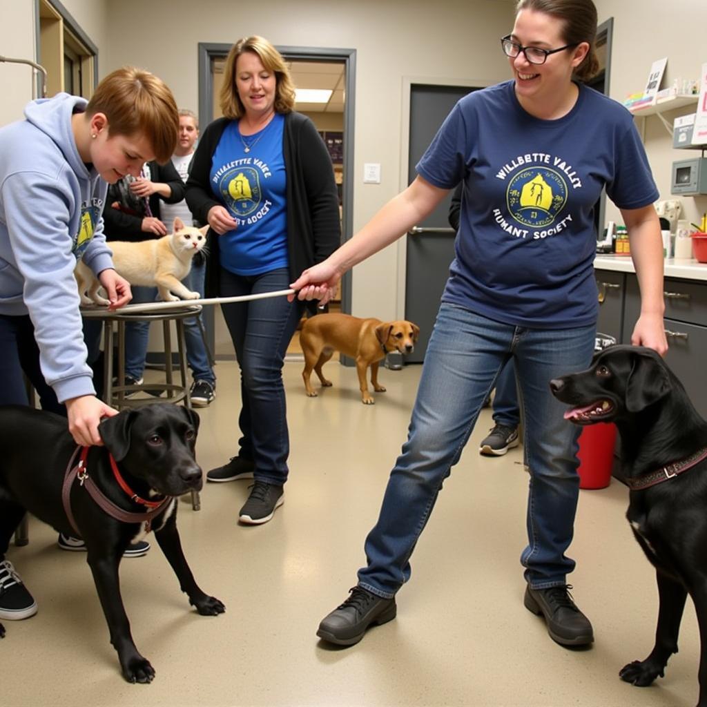 Volunteers at Willamette Valley Humane Society