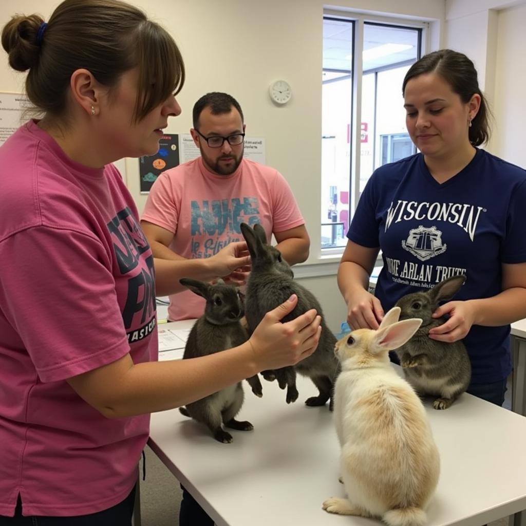 Wisconsin House Rabbit Society Volunteer Training