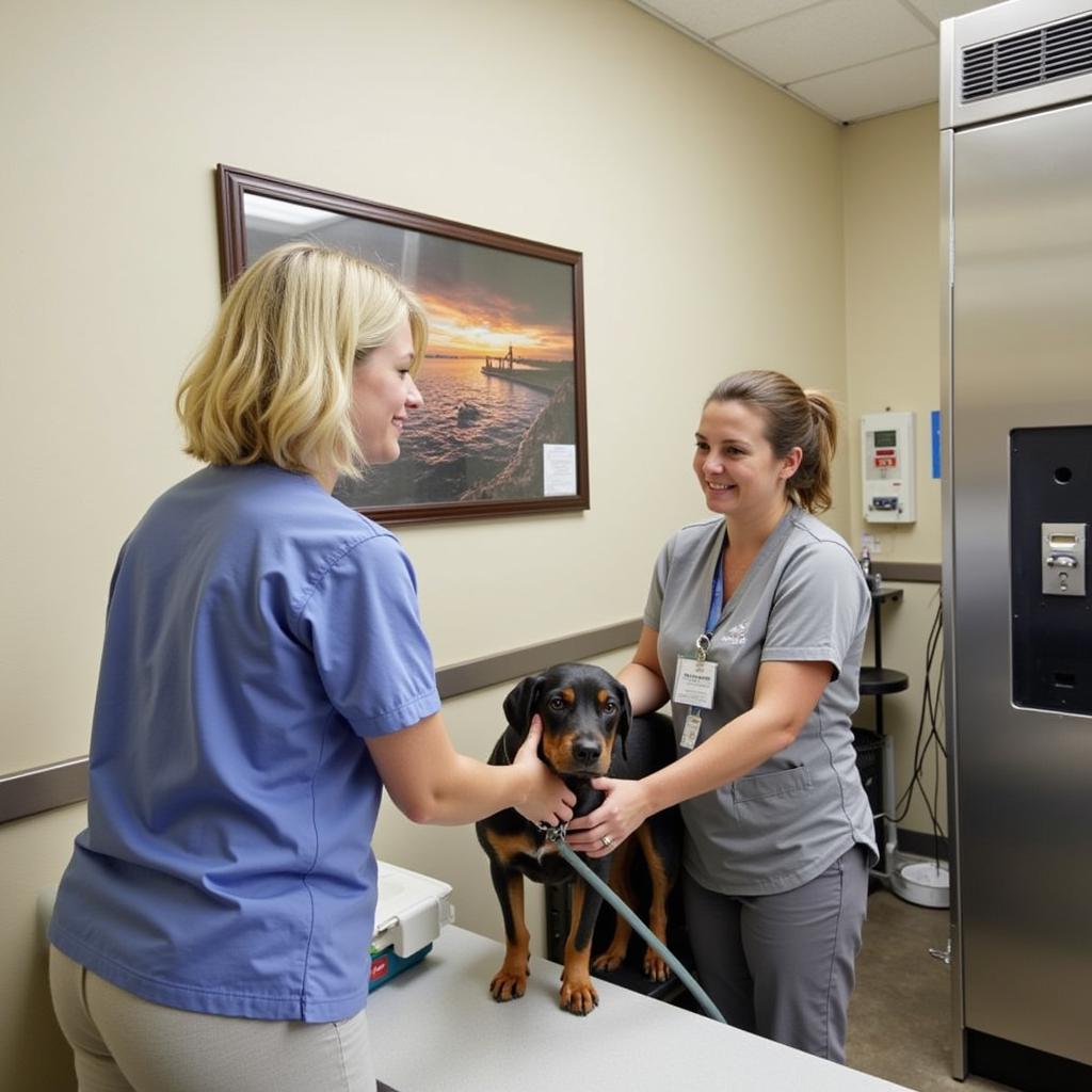 Alexandria MN Humane Society Spay/Neuter Clinic