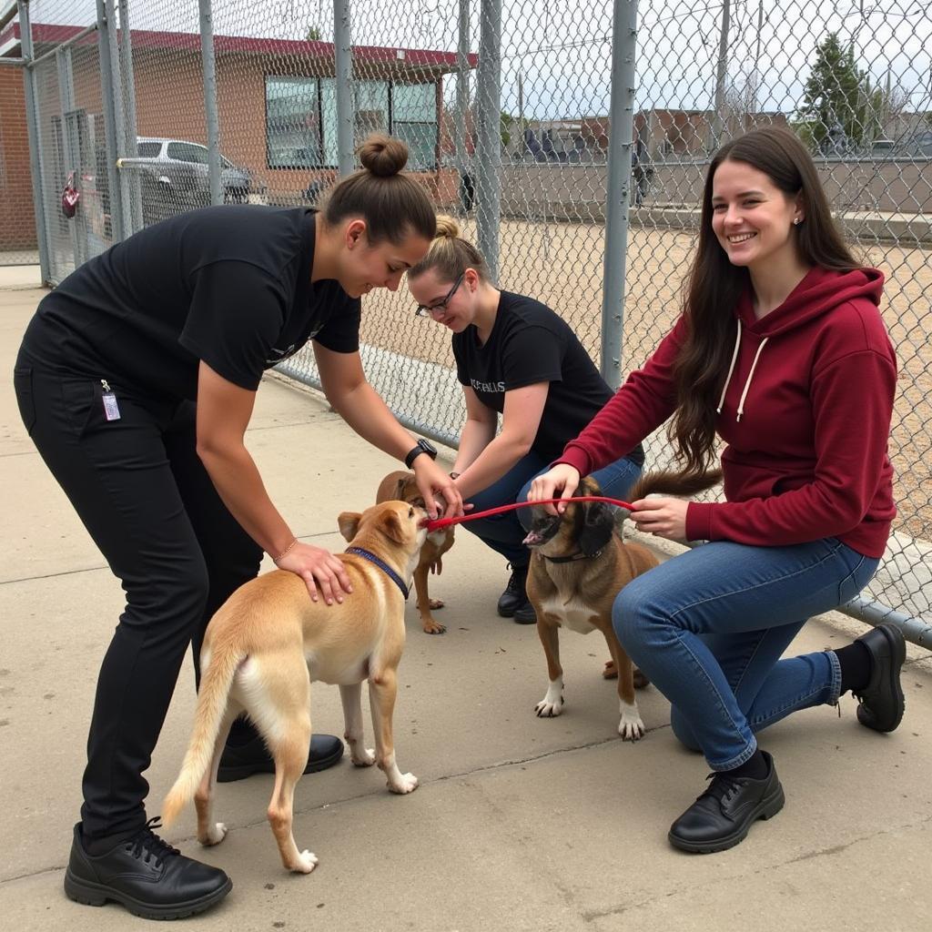 Anita Steven Swan Humane Society Volunteer Program