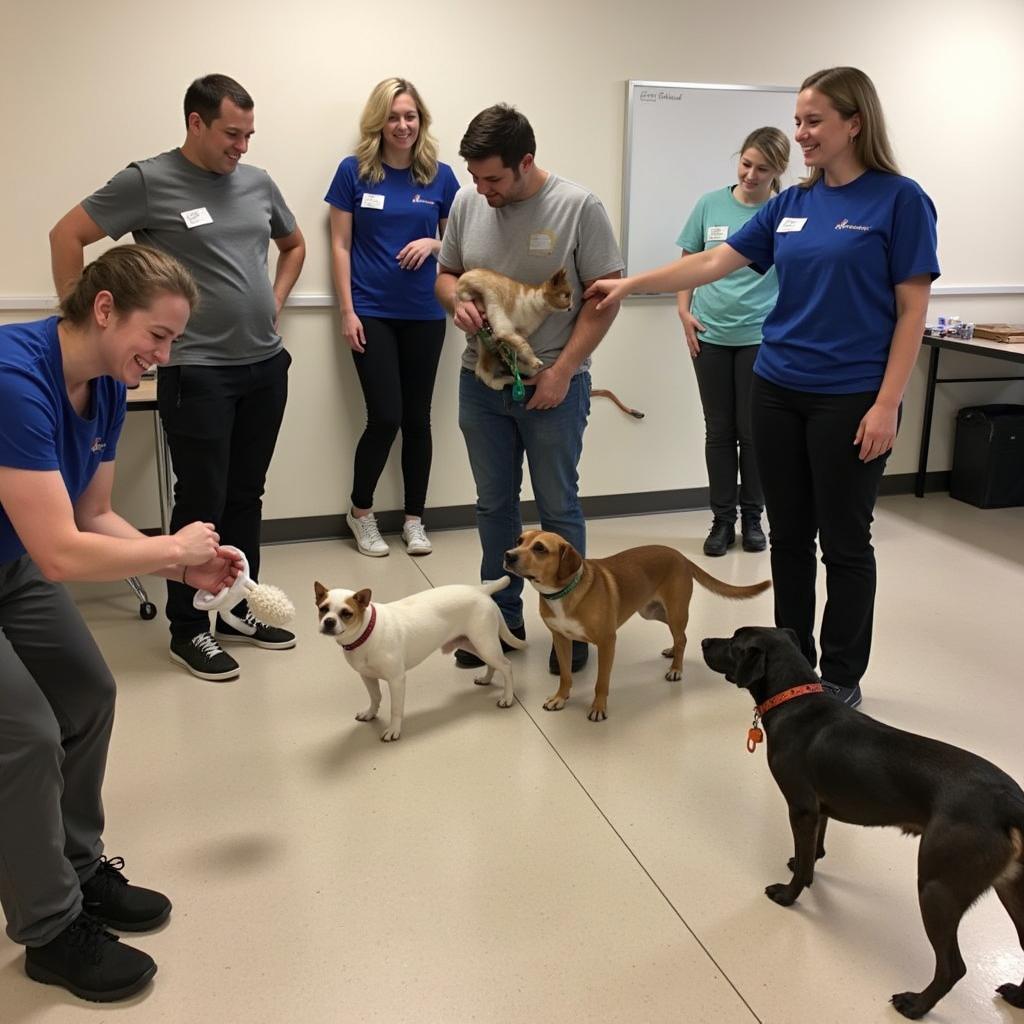 Volunteers interacting with animals at the Anti-Cruelty Society Michigan, demonstrating the diverse ways individuals can contribute to the organization's mission.