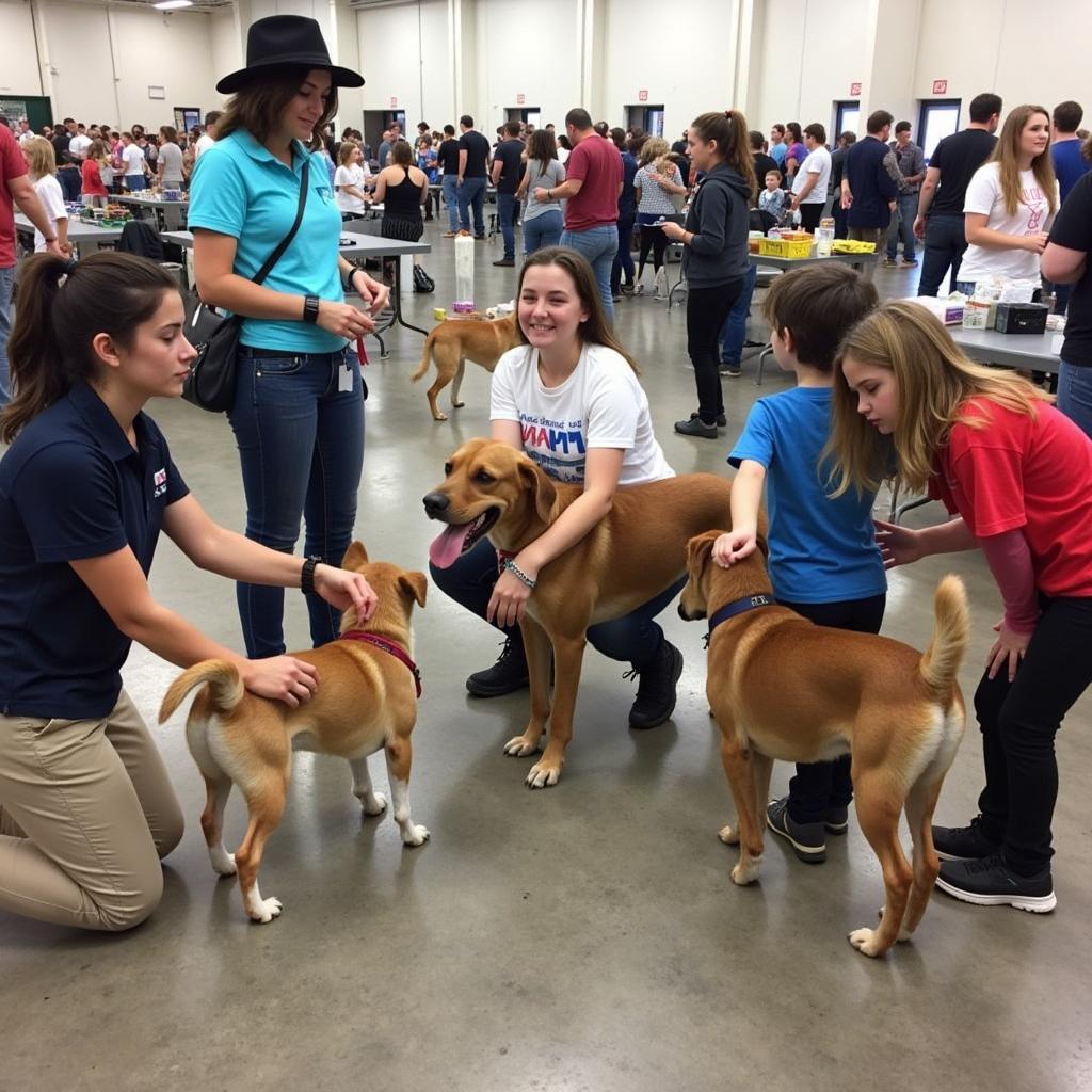 Bastrop Humane Society Adoption Event Connecting Animals with Families