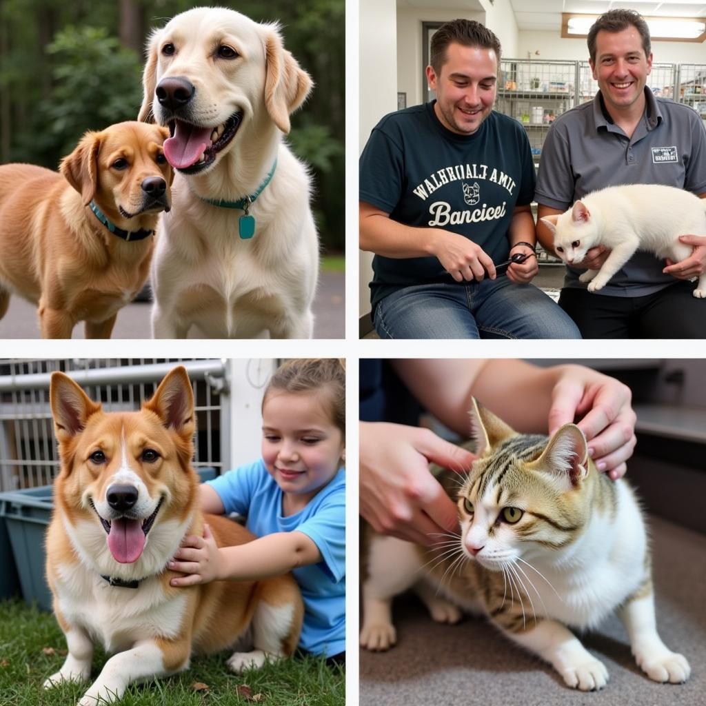 Volunteers at Beatrice Humane Society Nebraska providing care and affection.