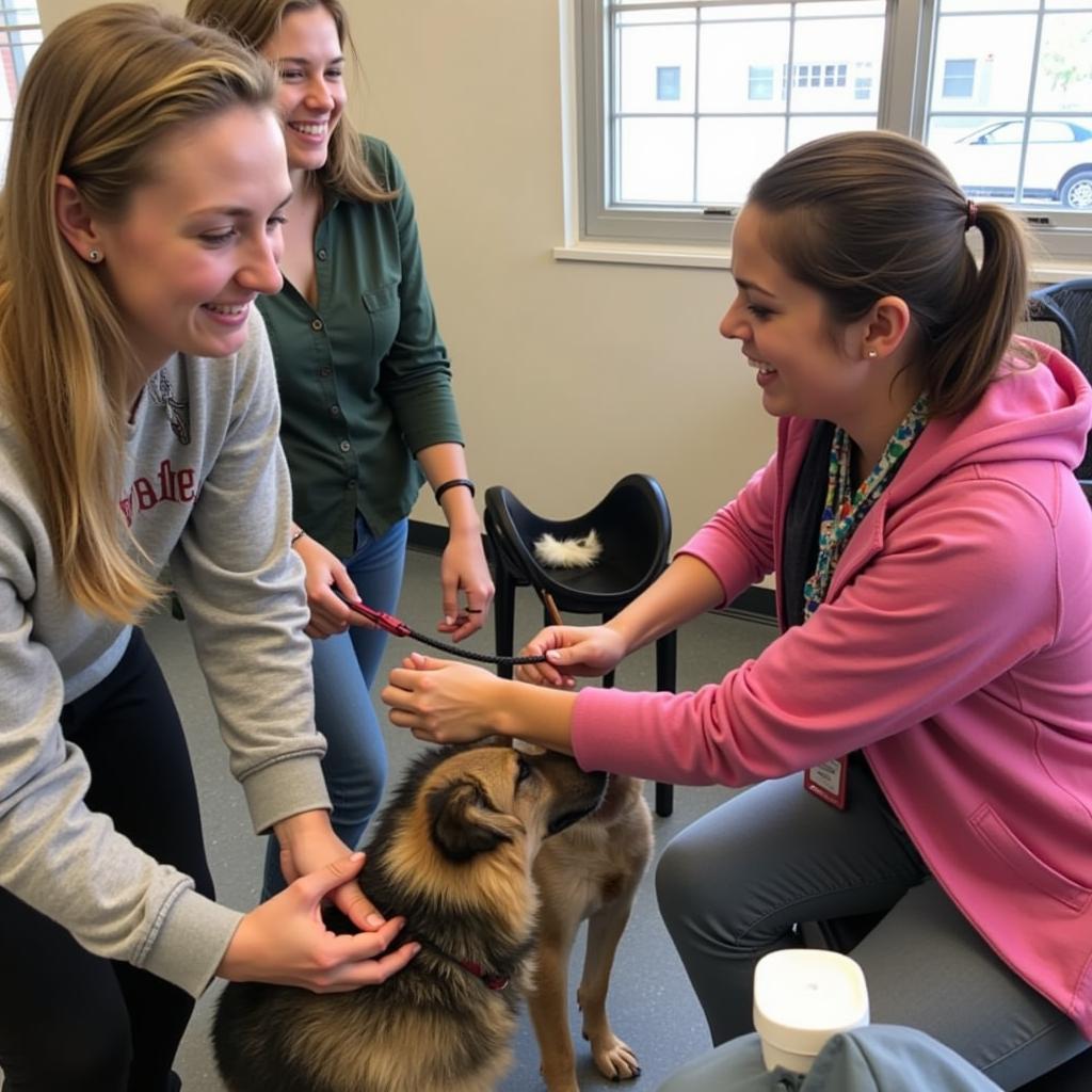 Bellevue NE Humane Society Volunteering