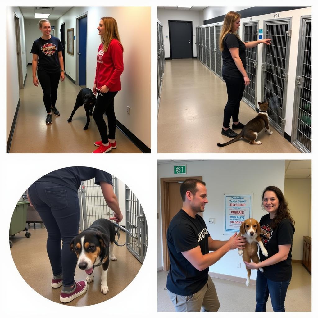 Volunteers at Benches Humane Society Mankato