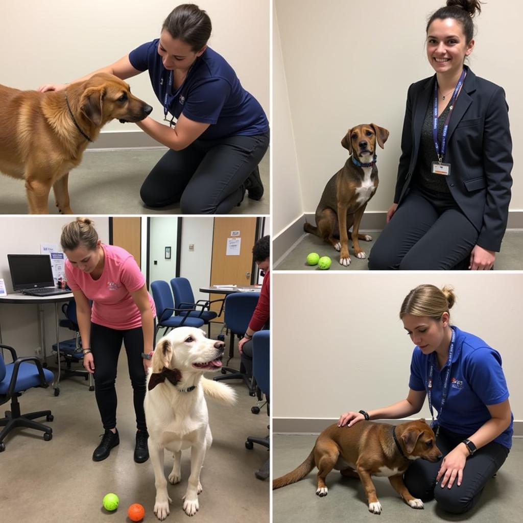 Volunteers interacting with dogs at the Bend Oregon Humane Society