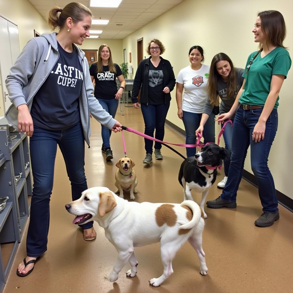 Benton Franklin Humane Society Volunteers