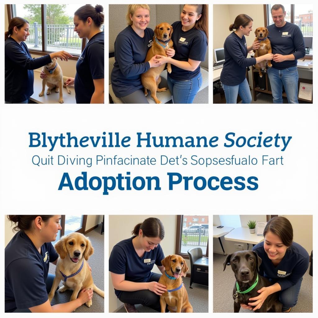 Adopting a Pet from the Blytheville Humane Society