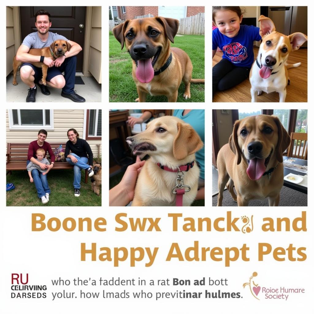 Boone Humane Society Happy Adopted Pets