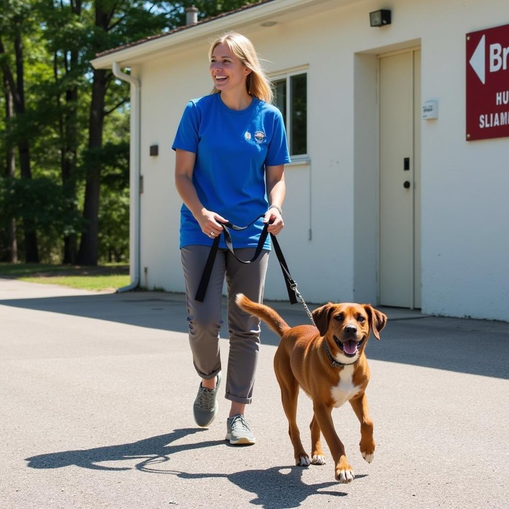 Volunteer Walking Dog at Brennan Humane Society