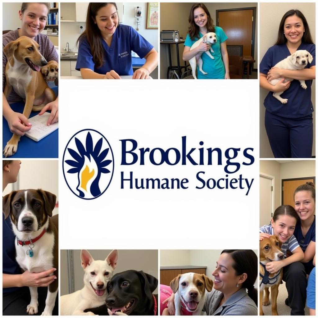 Services Provided by Brookings Humane Society