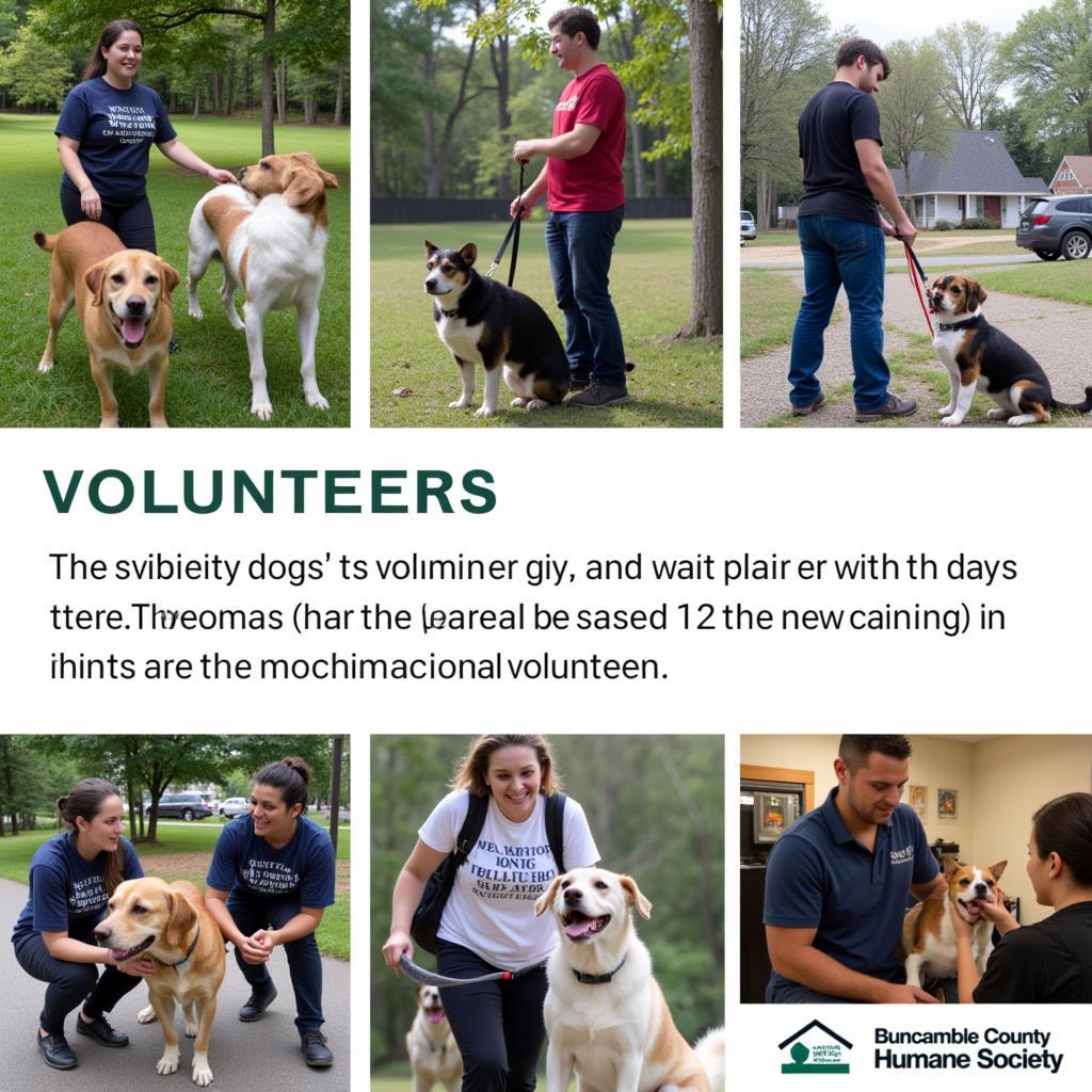 Buncombe County Humane Society Volunteers