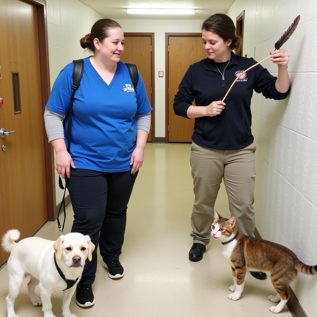 Camas Humane Society Volunteers