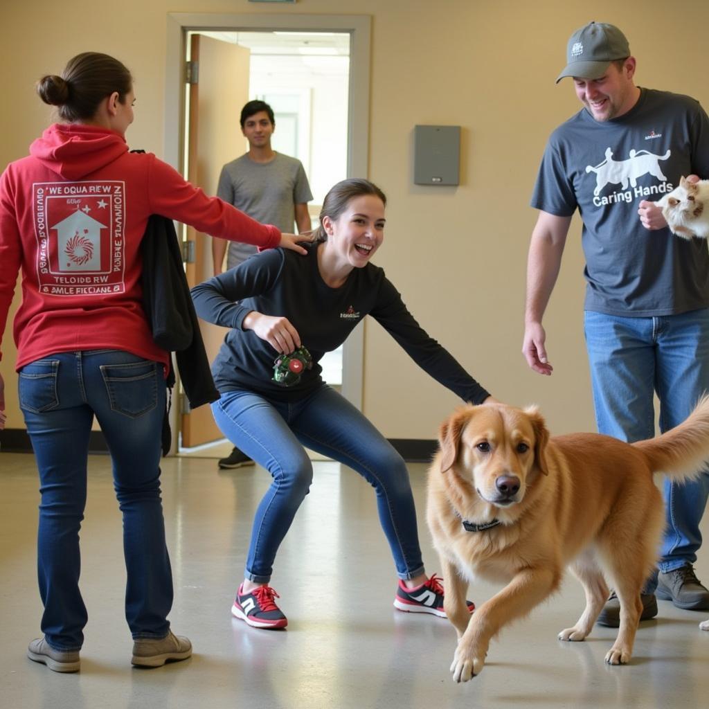 Caring Hands Humane Society Volunteer Work