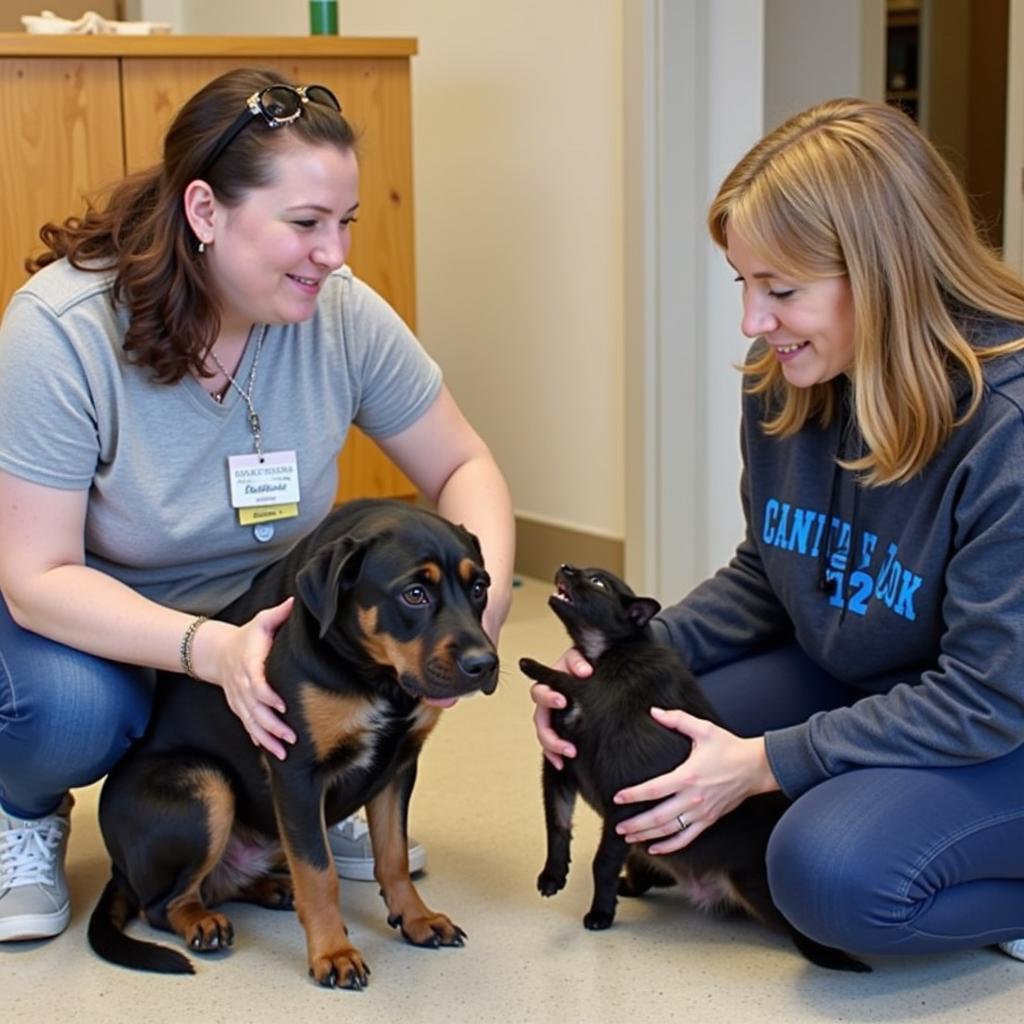 Volunteers at Carter County Humane Society