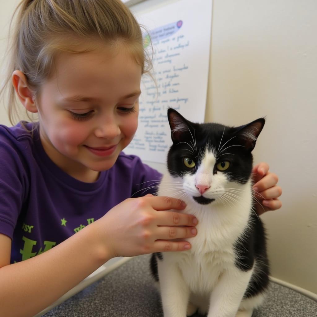 Cat Adoption at Carver County Humane Society