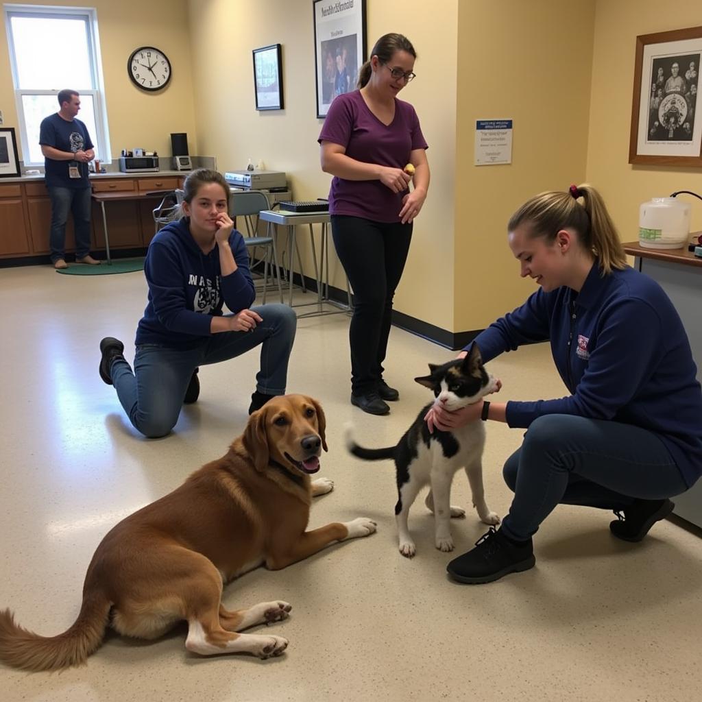 Volunteers play a crucial role at the Catskill Humane Society, providing love, care, and enrichment for the animals.