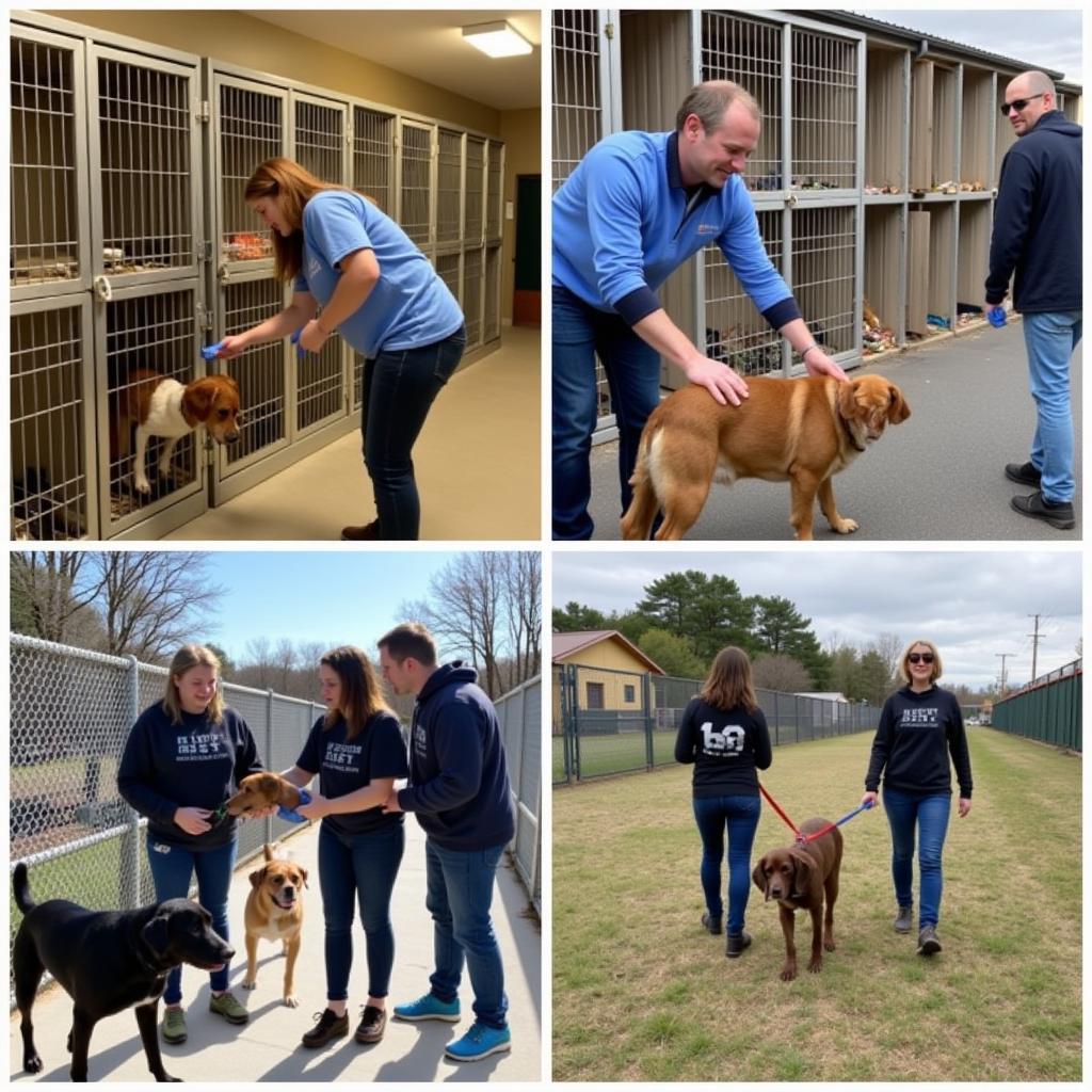 Champaign County Humane Society Volunteers