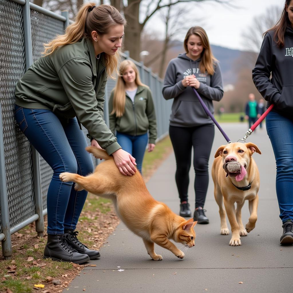 Volunteers at Chittenden County Humane Society