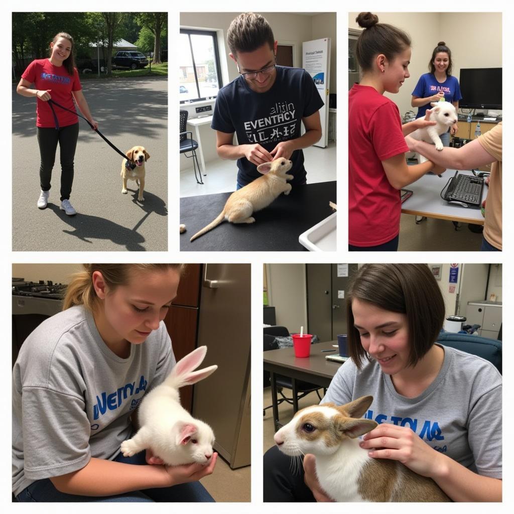 Clackamas County Humane Society Volunteers with Animals