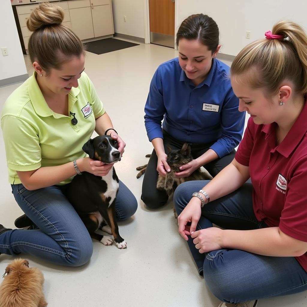 Volunteers caring for animals at the Clayton County Humane Society