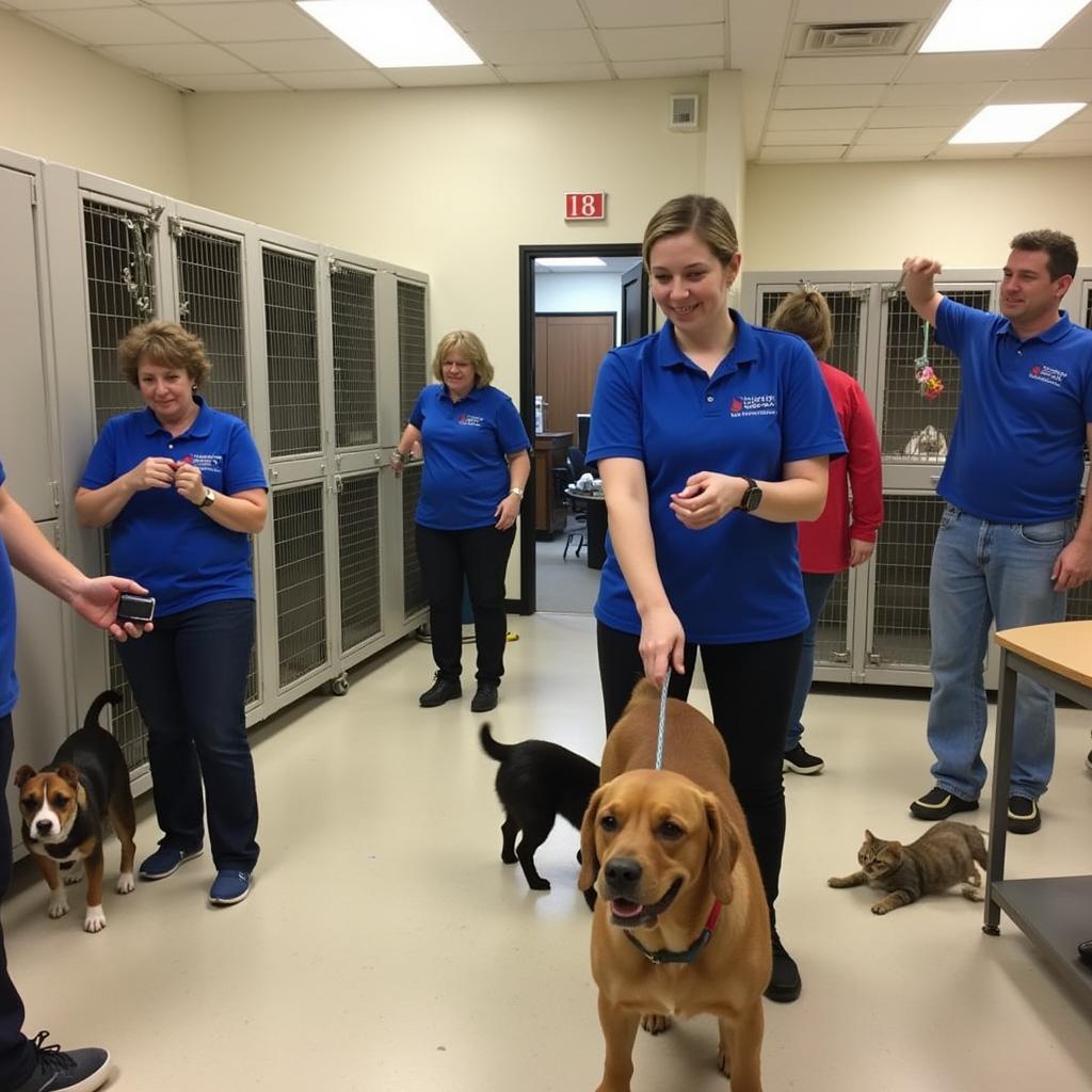 Volunteers at the Clinton County Humane Society