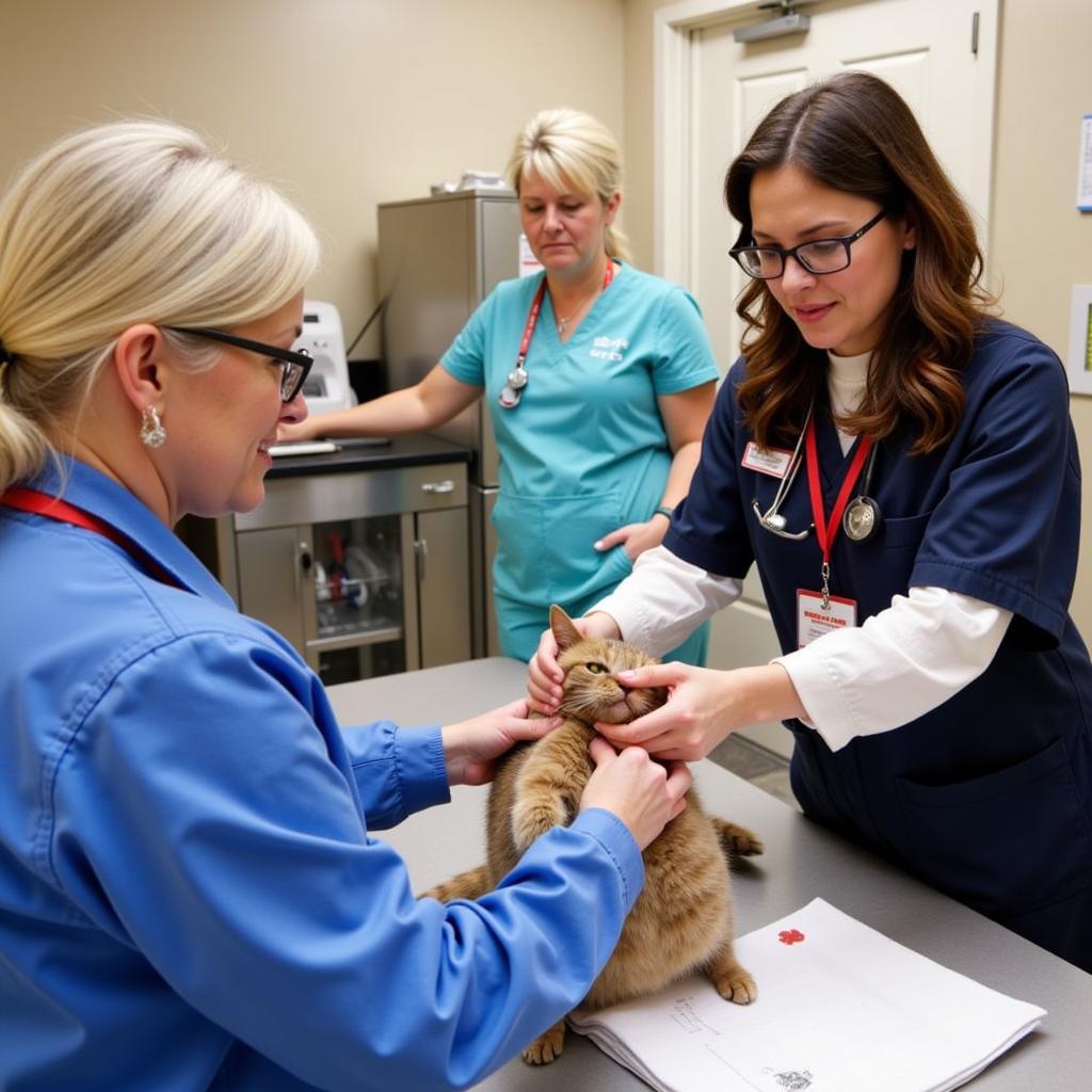 Coulee Region Humane Society Veterinary Team