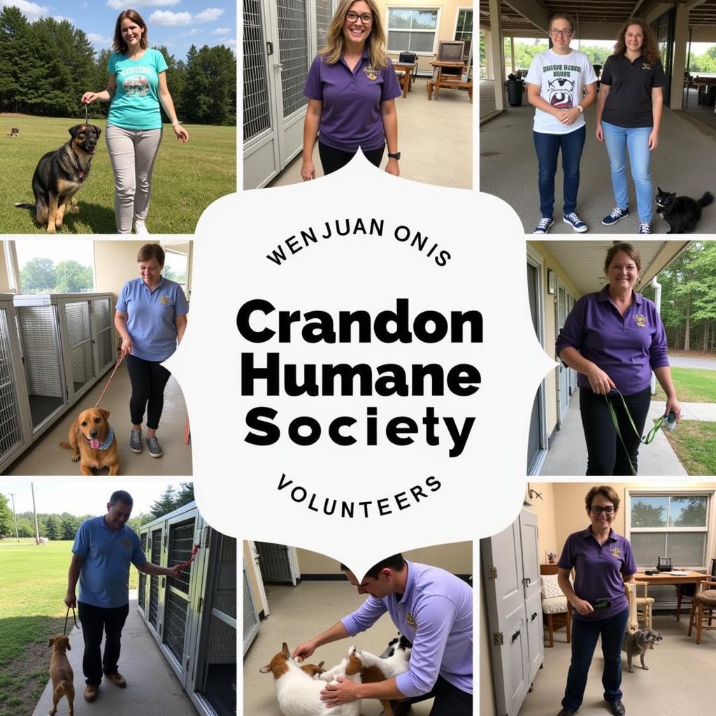 Volunteers at Crandon Humane Society