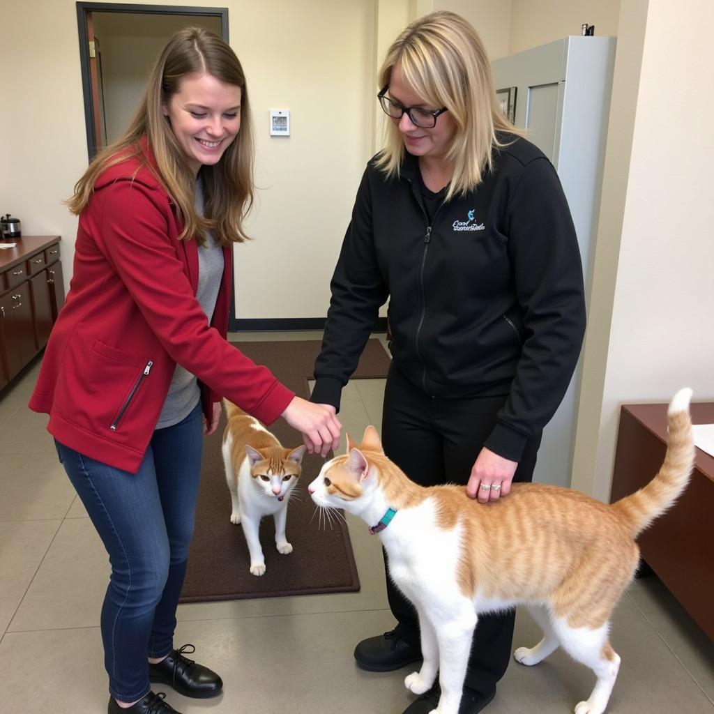 Crandon Humane Society Volunteers Caring for Cats