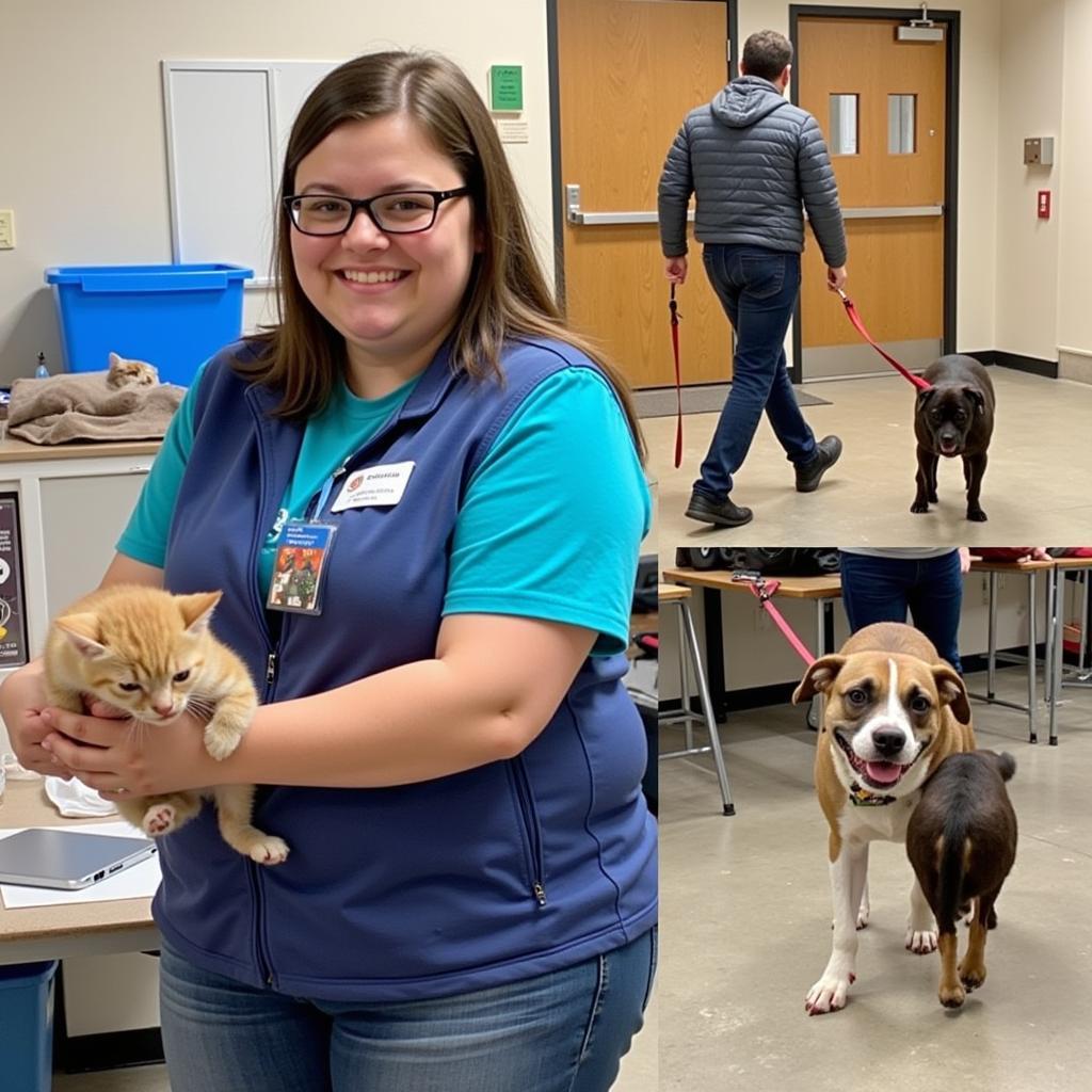 Volunteers at the Crawford County Ohio Humane Society