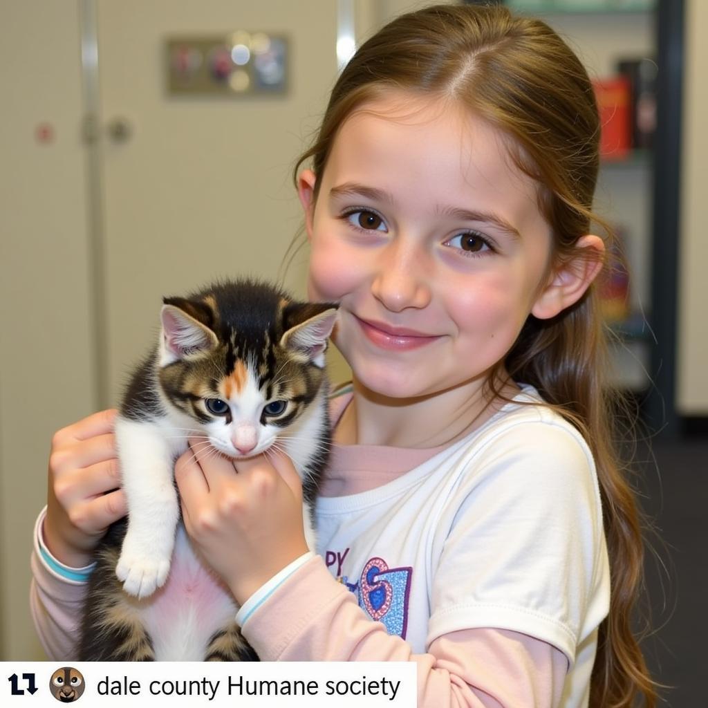 Cat adoption at the Dale County Humane Society