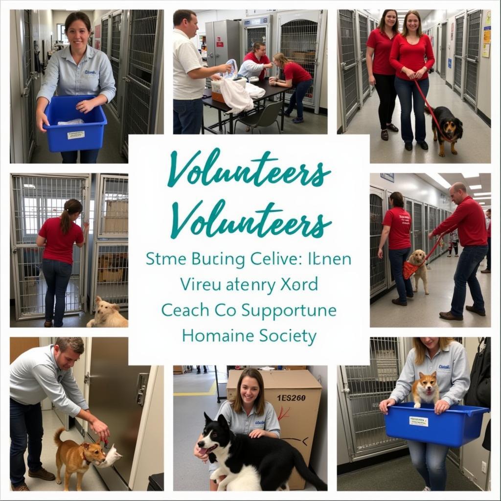 Danville Boyle County Humane Society Volunteers