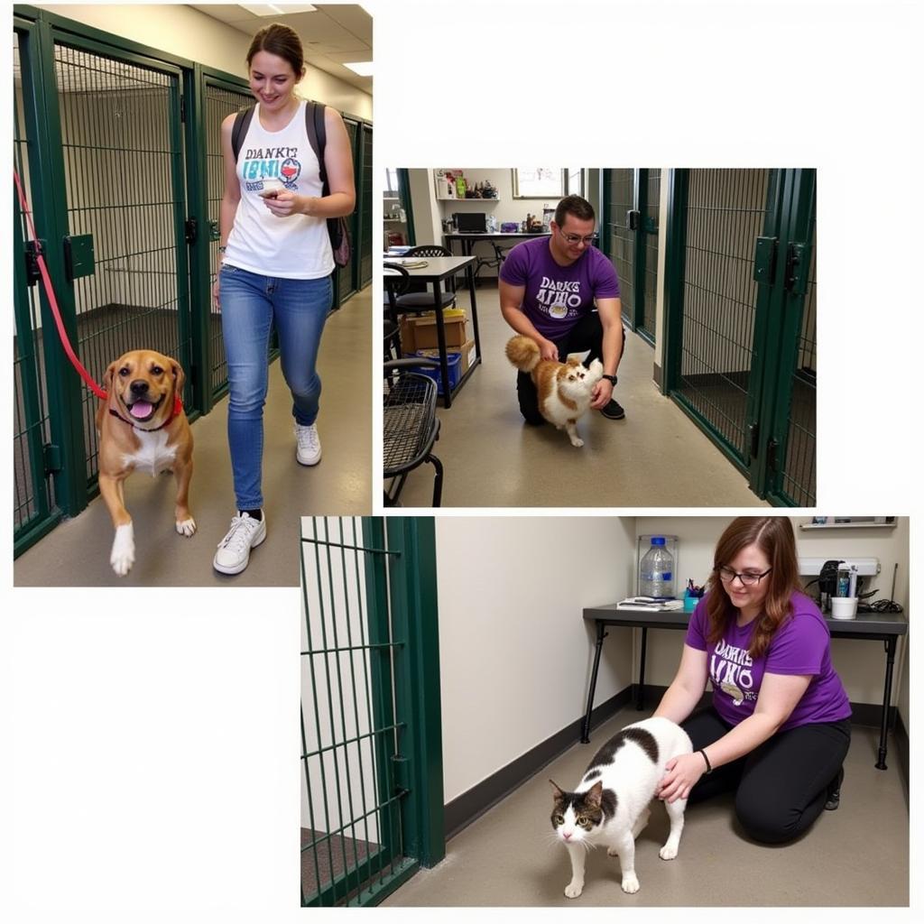 Darke County Ohio Humane Society Volunteers