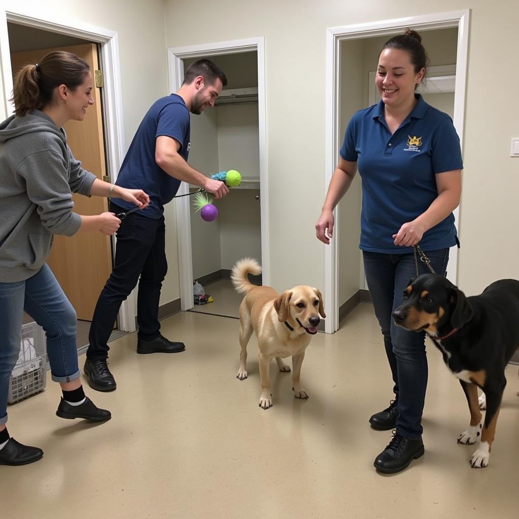 Volunteers at DeSoto Humane Society provide care and attention to the animals. 