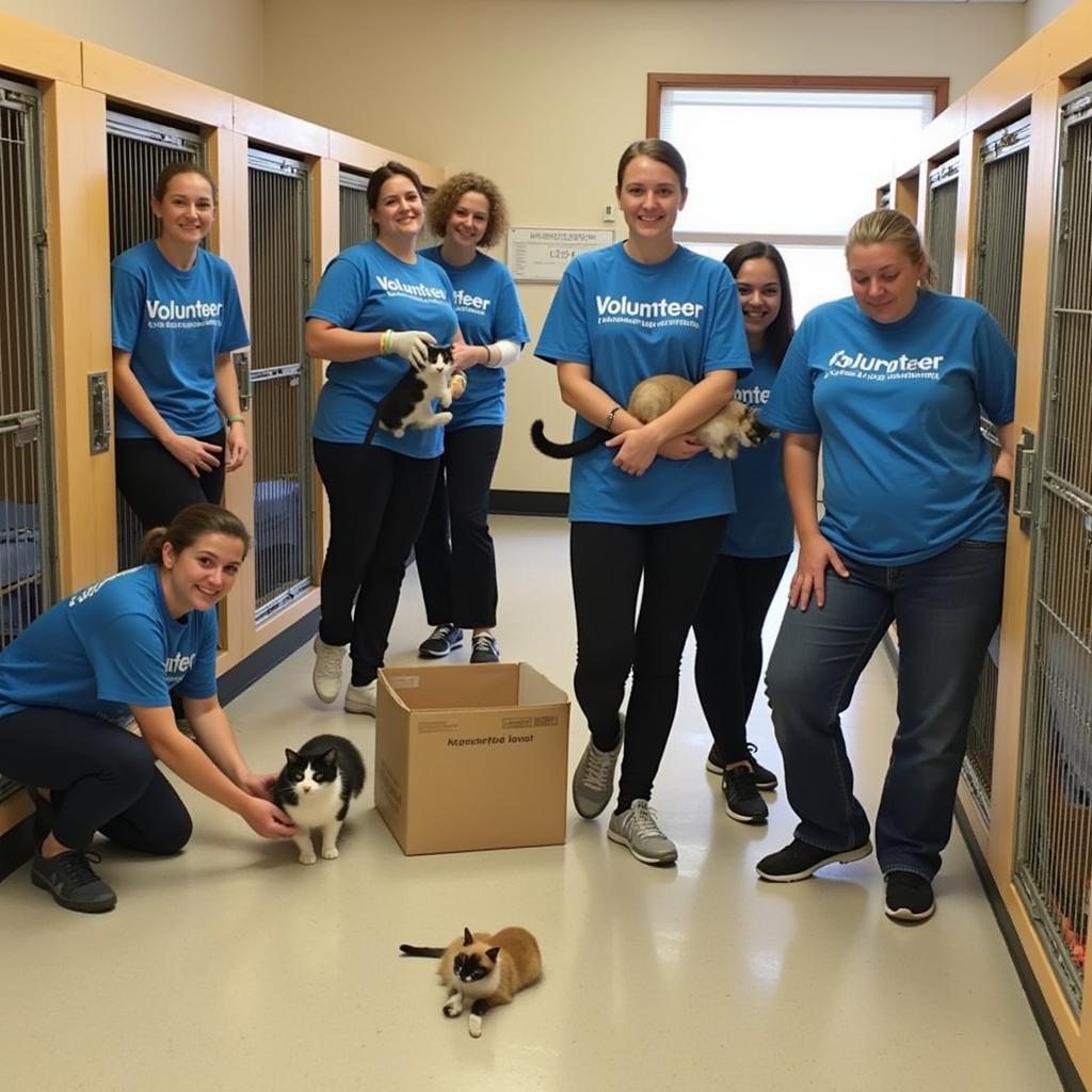 Dodge County Humane Society Volunteering