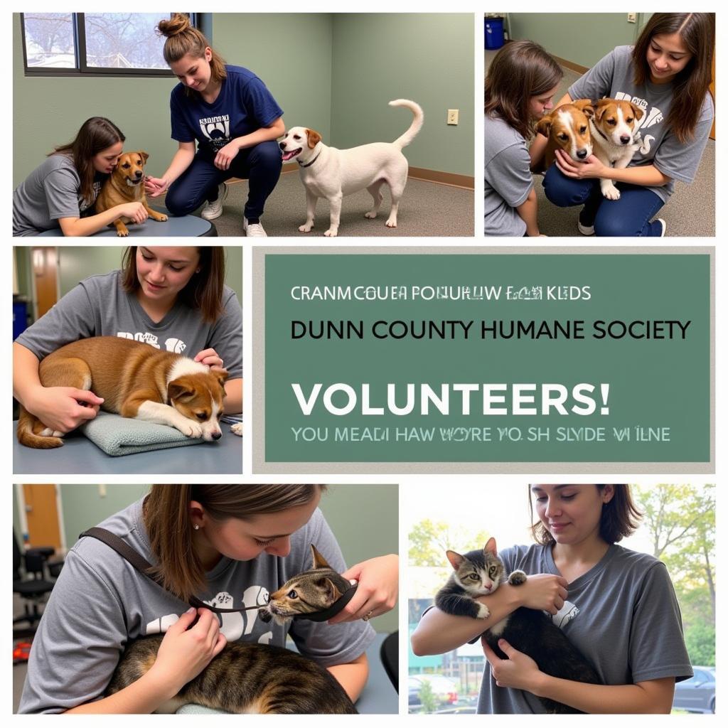 Dunn County Humane Society Volunteers in Action