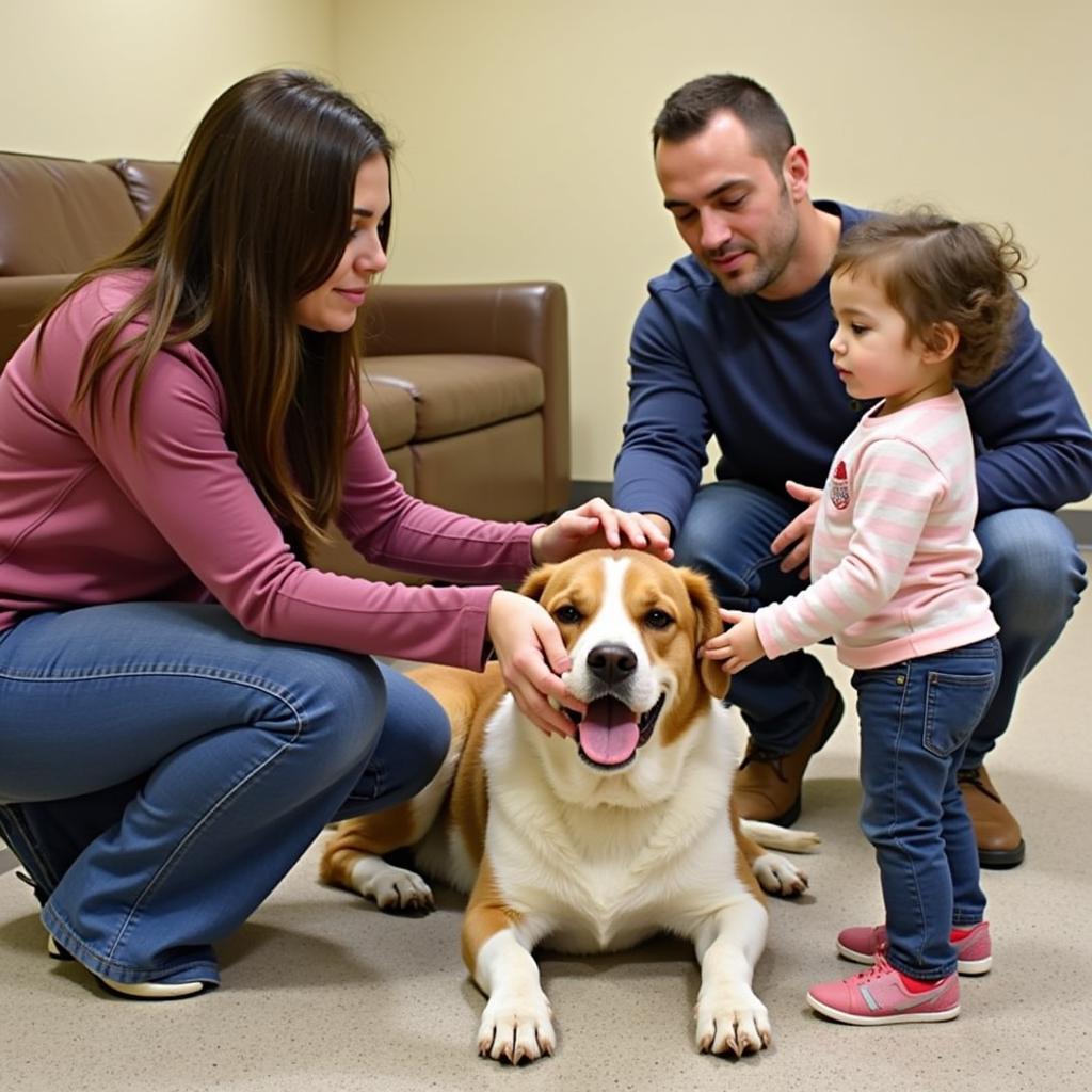 Adoption Process at the Elkhart County Humane Society