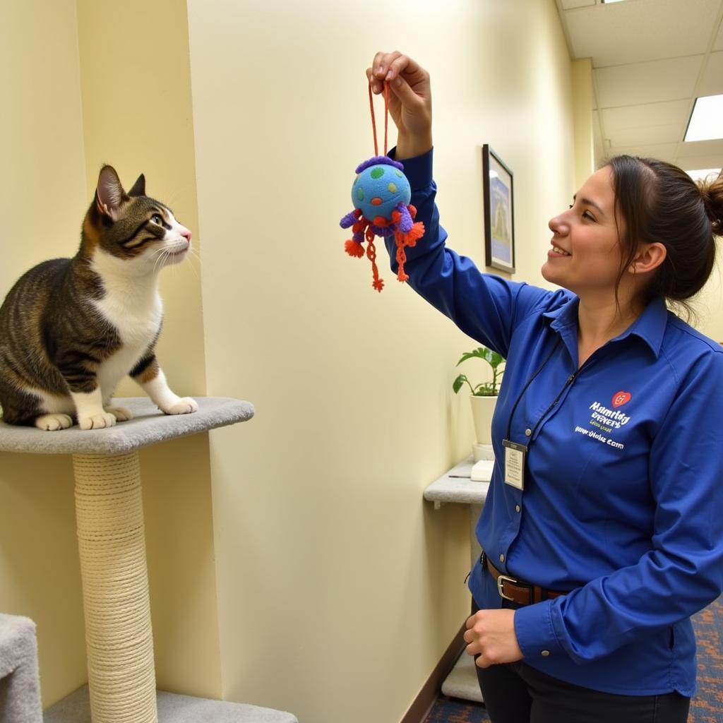 Volunteering at the Elkhart County Humane Society