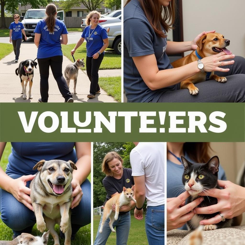 Volunteers at the Fayette County Humane Society