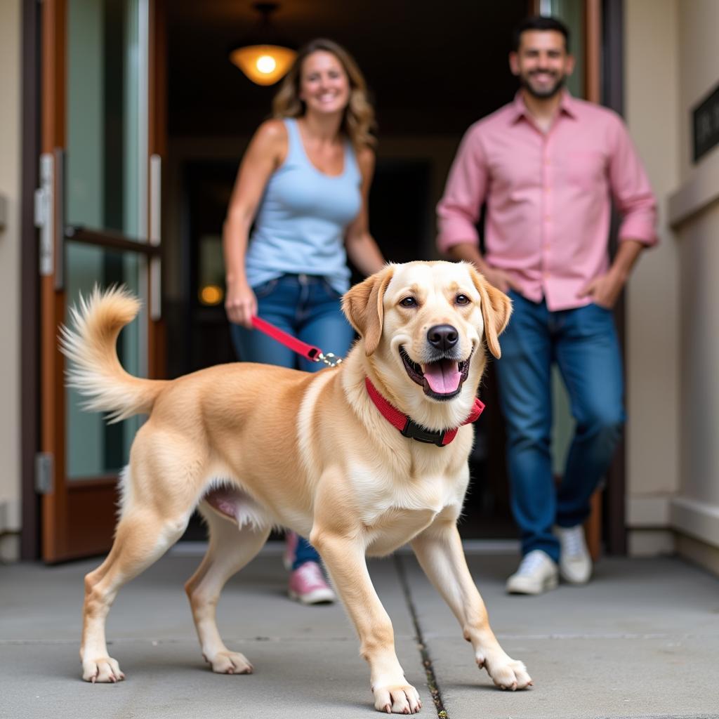 Happy Dog Adopted from the Fayetteville Animal Protection Society