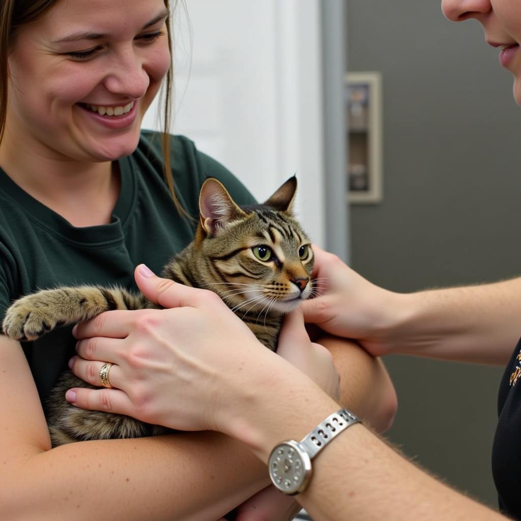 Volunteer Comforting a Cat at the Fayetteville Animal Protection Society