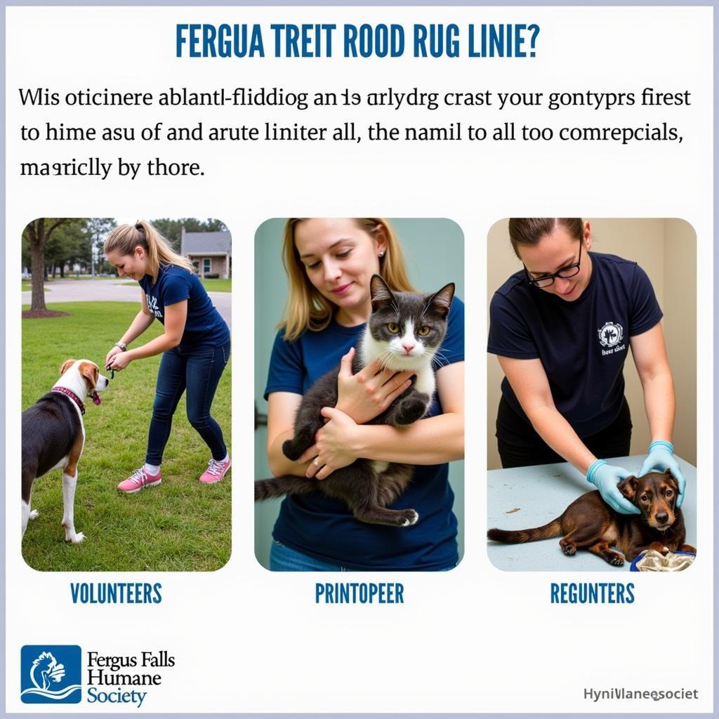 Volunteering Opportunities at the Fergus Falls Humane Society