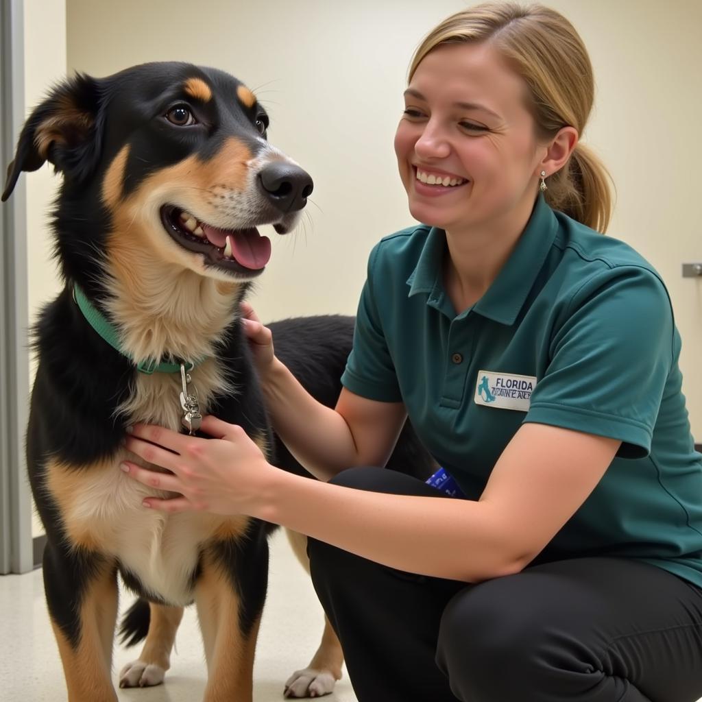 Florida Humane Society Volunteer with Dog