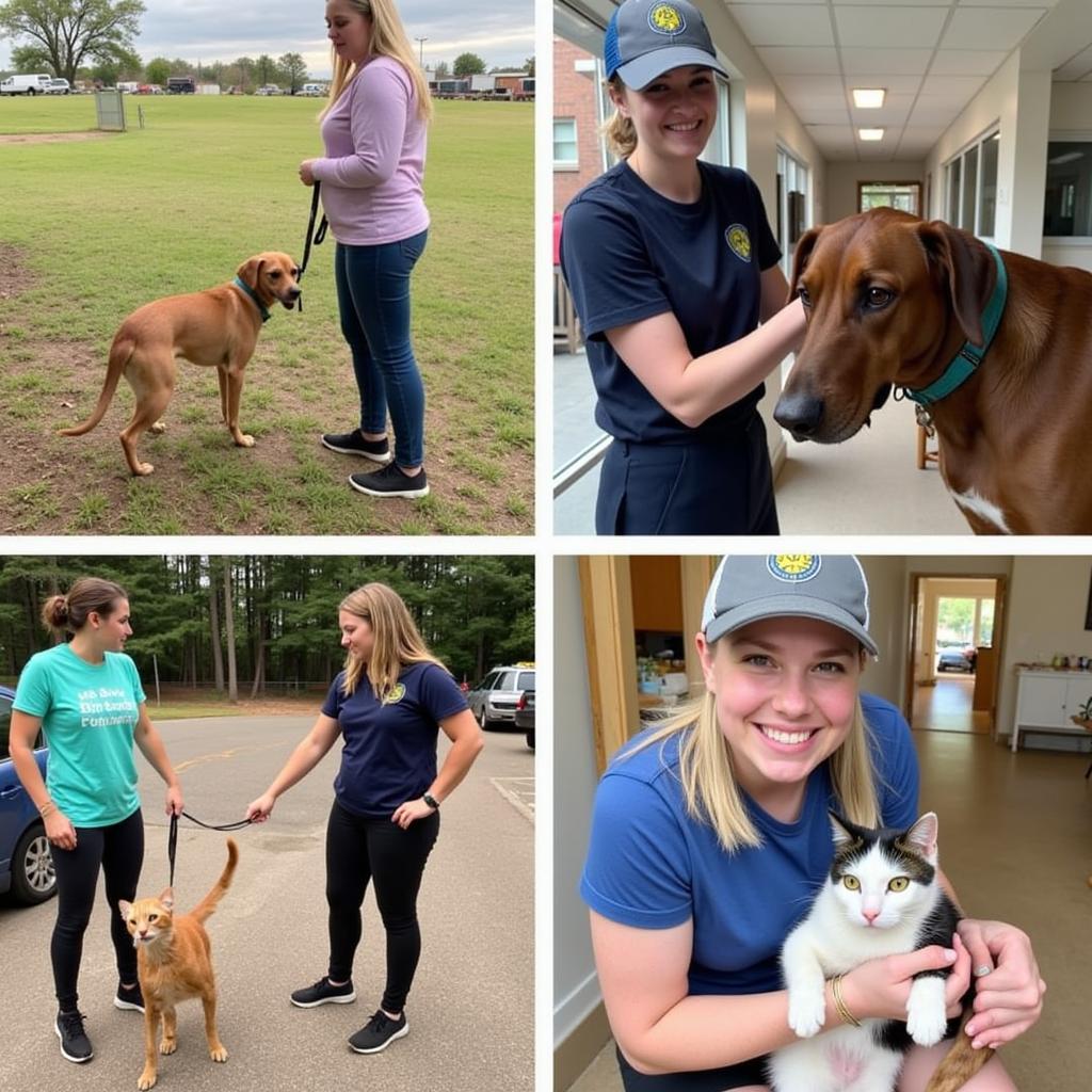 Volunteers at the Frankfort Humane Society