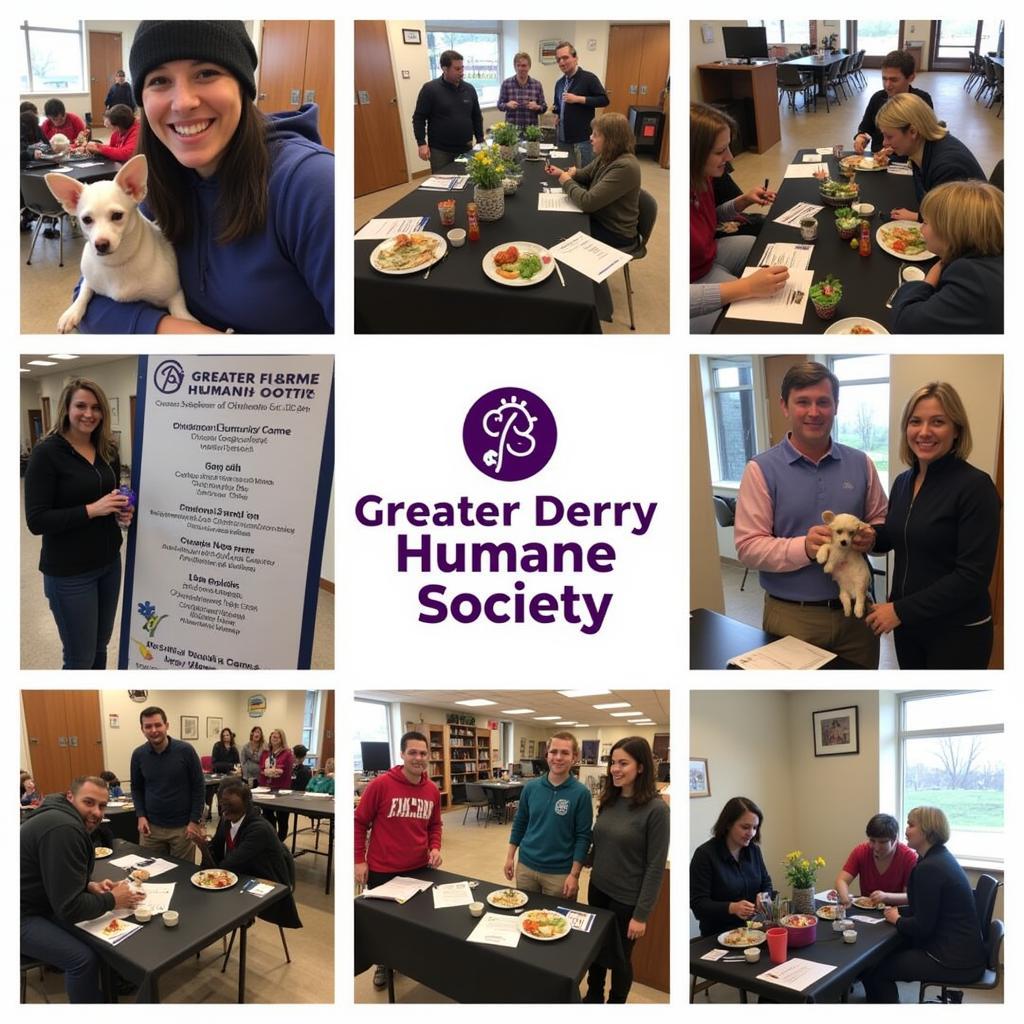 Greater Derry Humane Society Community Impact