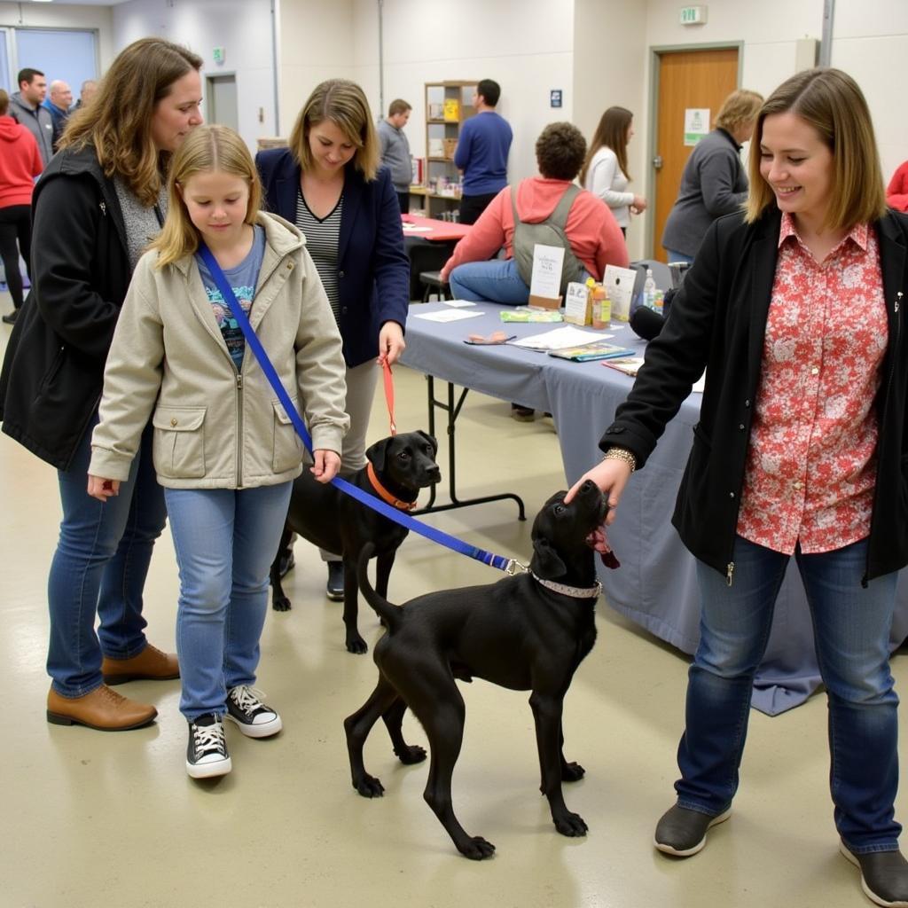 Guernsey County Humane Society Adoption Event