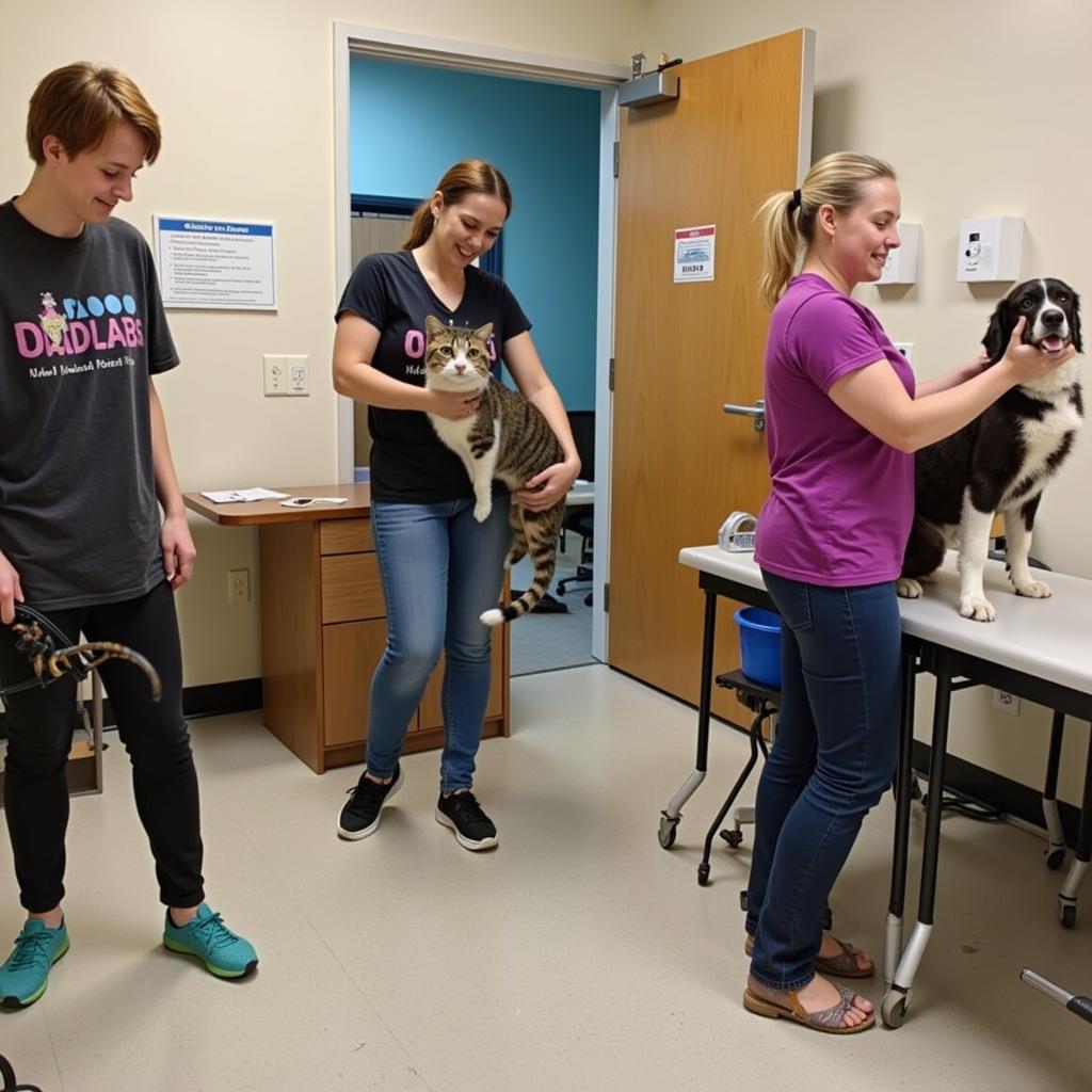 Harbor Humane Society Volunteers at Work