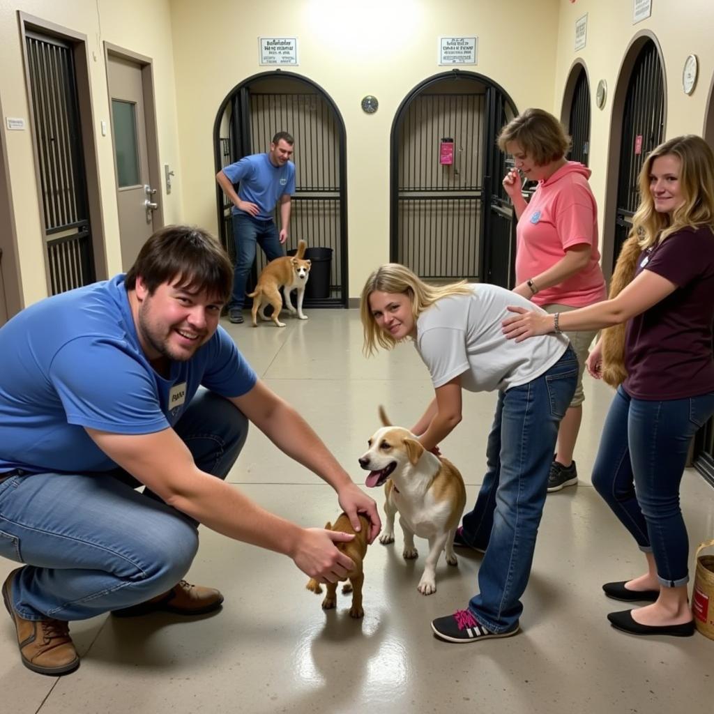 Volunteering at Hardin County Humane Society