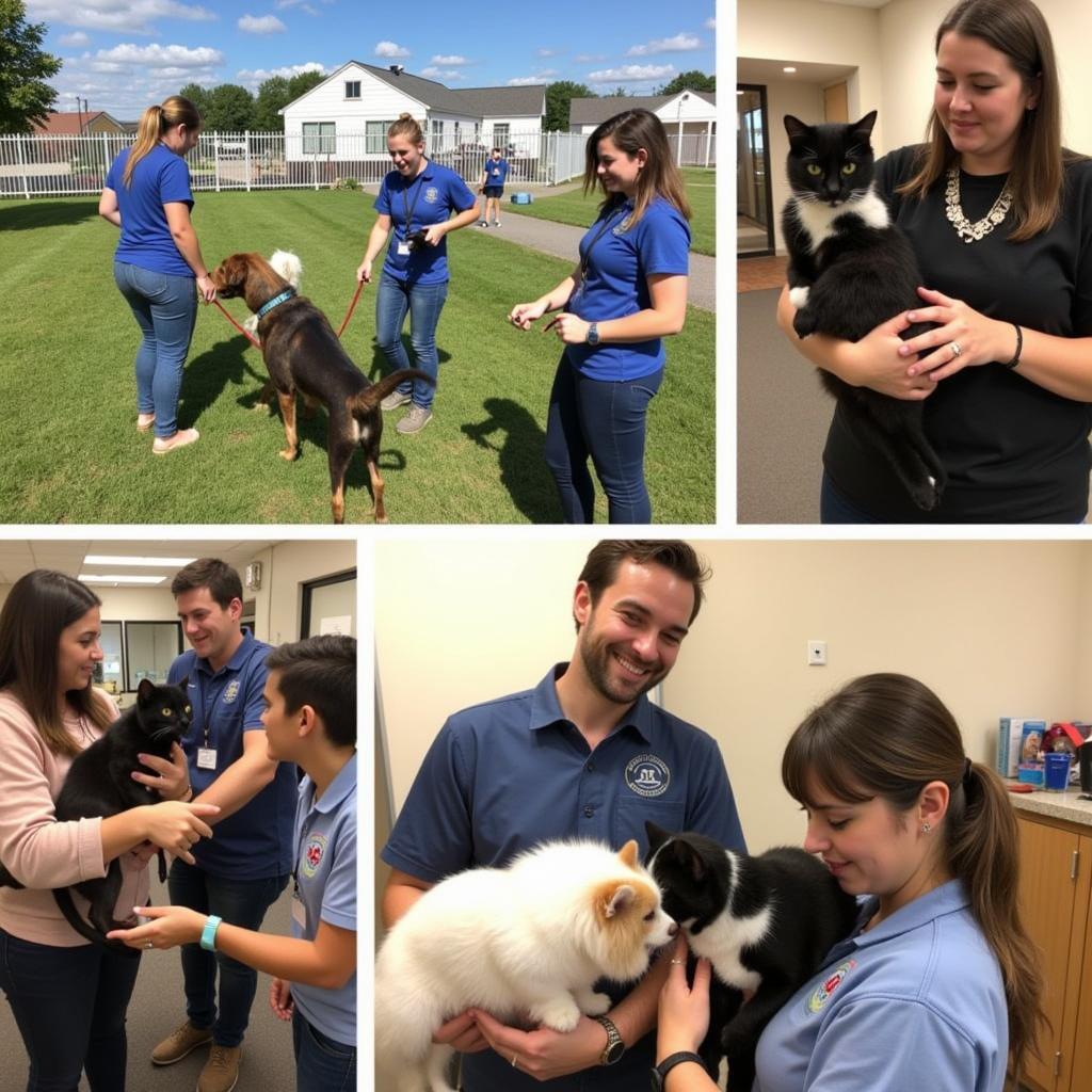 Harrisburg PA Humane Society Volunteers 